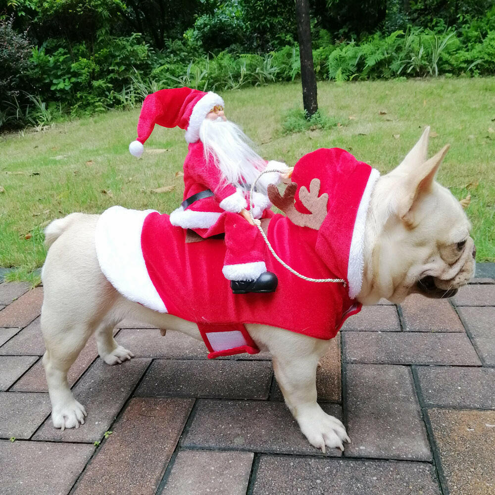 Santa Paws Dog Christmas Outfit 🎅🐾.