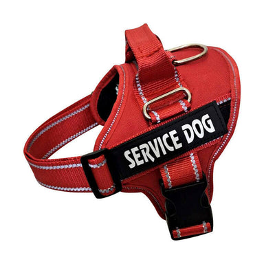 Custom Pet Chest Strap - Personalized Harness™.