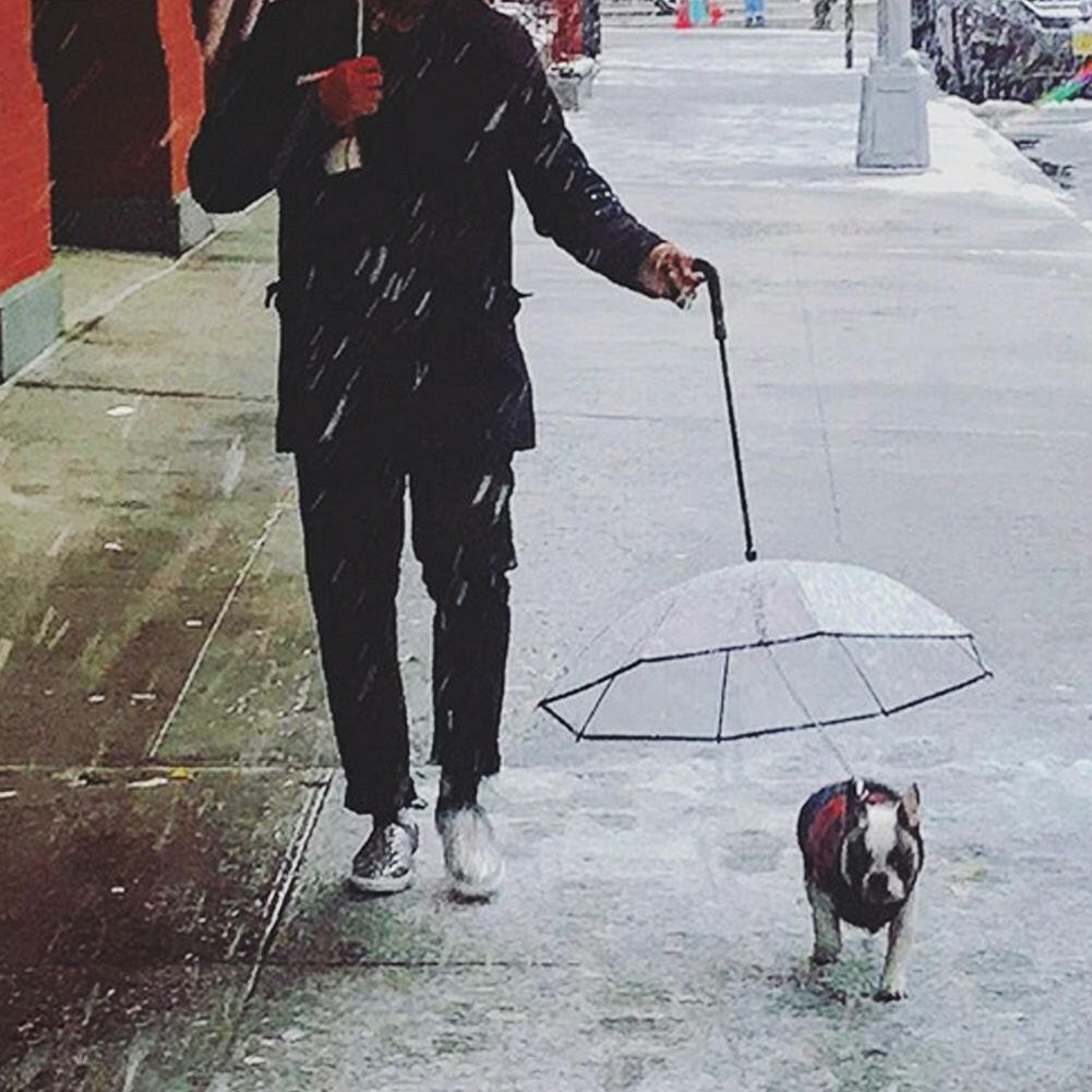 Clear Dog Umbrella - Pet Essential™.