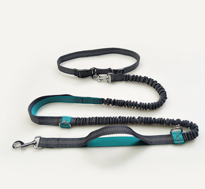 Reflective Multi-Function Double Elastic Dog Leash - PawPal Essentials