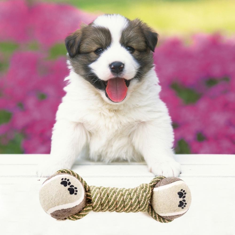 Interactive Cotton Rope Dog Toys - PawPal Essentials