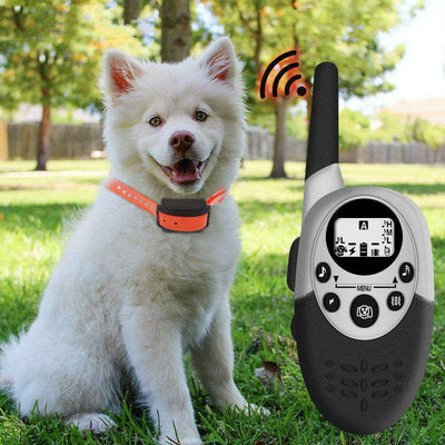 1000m Remote Rechargeable Dog Trainer™ - PawPal Essentials