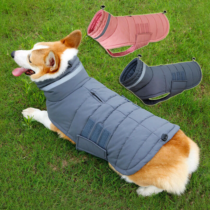 Winter Waterproof Dog Coat for Medium/Large Dogs 🐾❄️.