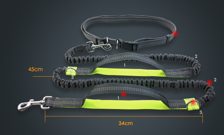 Reflective Multi-Function Double Elastic Dog Leash - PawPal Essentials