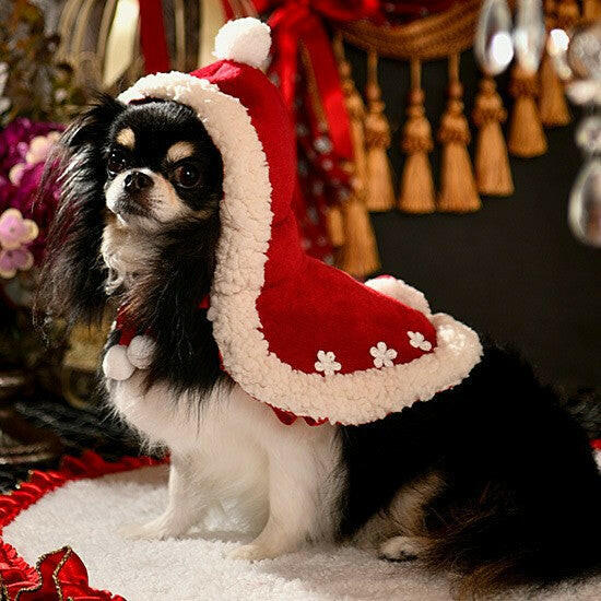 Christmas Dog Cloak - Festive Elegance 🎄🐾.