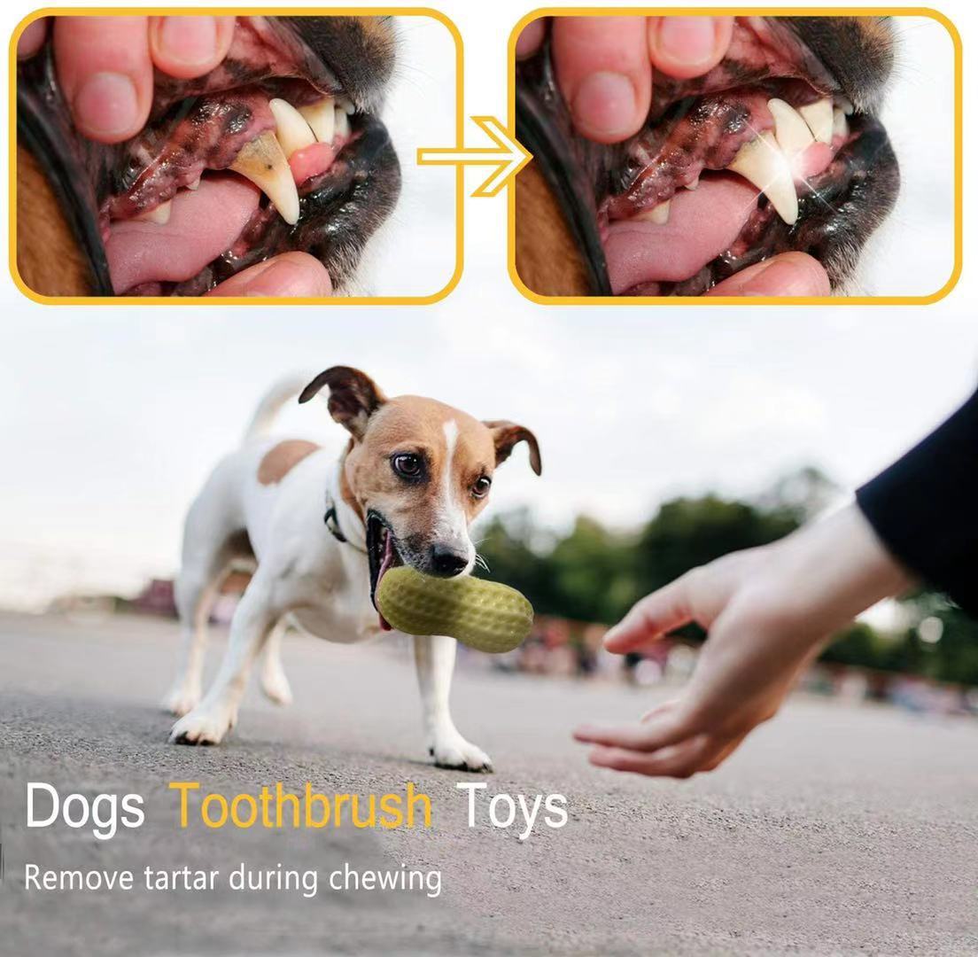 Peanut Butter Squeaky Toy Fun for Pets - PawPal Essentials