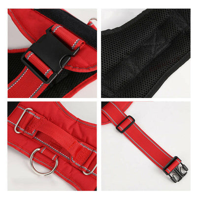 Custom Pet Chest Strap - Personalized Harness™.
