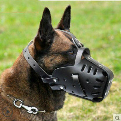 Cowhide Dog Muzzle - Secure Fit 🐾🐄.