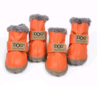 Winter Warm Teddy Dog Boots 🐾❄️.