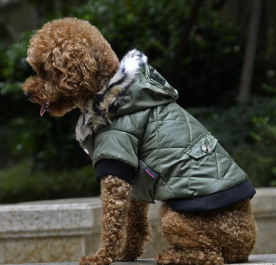 Warm & Stylish Dog Fur Collar Coat 🐾🍁.