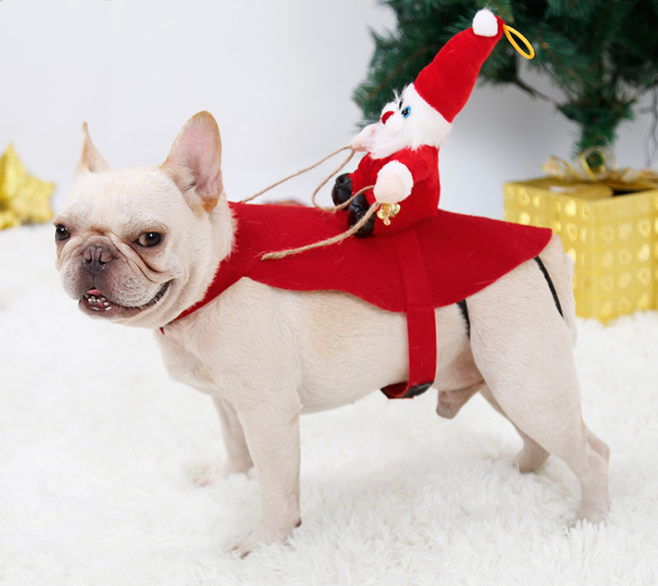 Santa Paws Dog Christmas Outfit 🎅🐾.