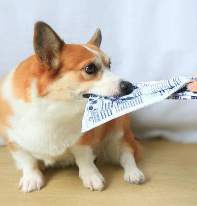 Pet Dog Sound Paper Newspaper Toy.