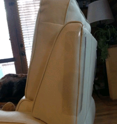 Cat Claw Sofa Protector Pads™.