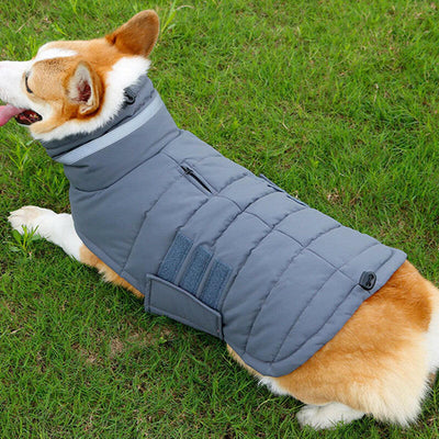 Winter Waterproof Dog Coat for Medium/Large Dogs 🐾❄️.