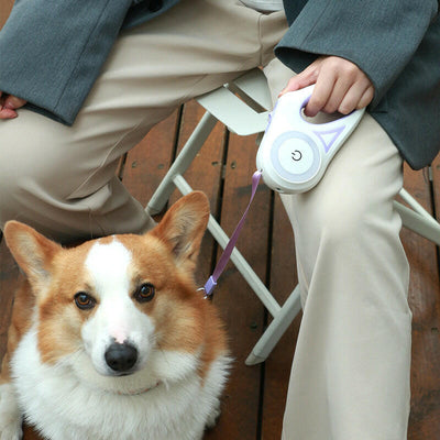 Retractable Dog Leash with Collar Spotlight™.