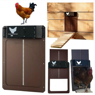 Auto Chicken Coop Pet Door™.