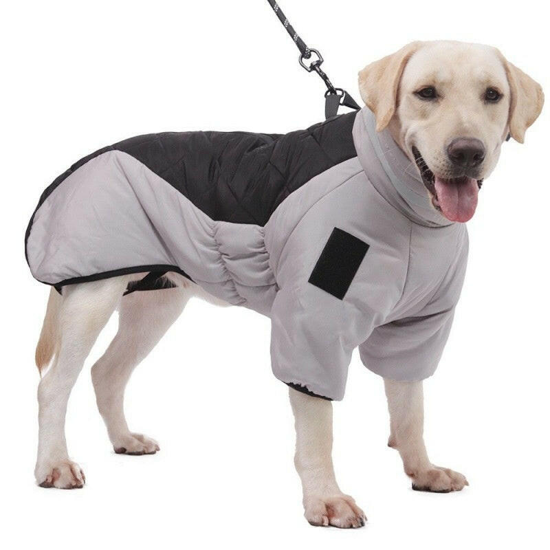 Warm Waterproof Dog Coat for Medium/Large Breeds 🐾❄️.