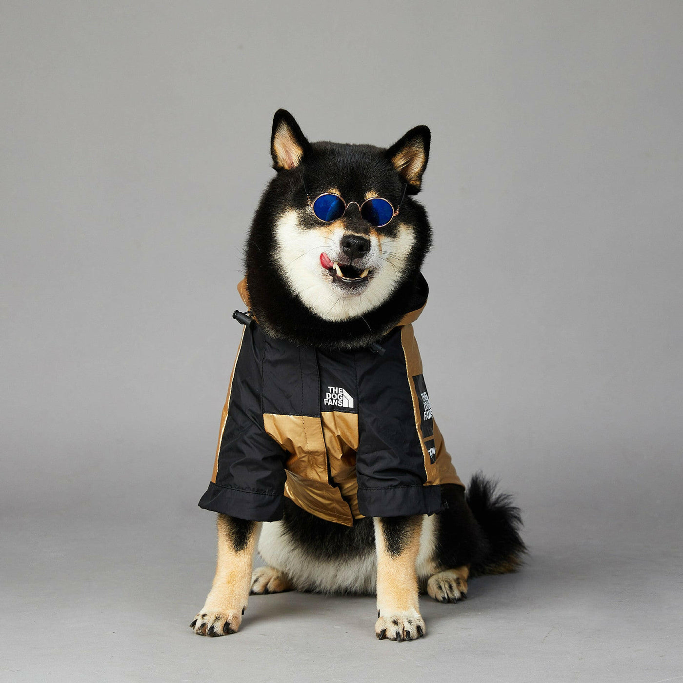 Large Dog Raincoat: Stylish Pet Jacket ☔🐾.