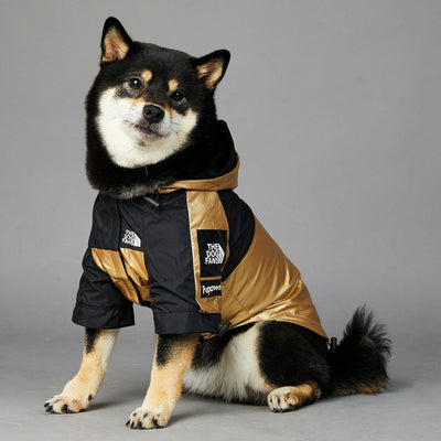 Large Dog Raincoat: Stylish Pet Jacket ☔🐾.