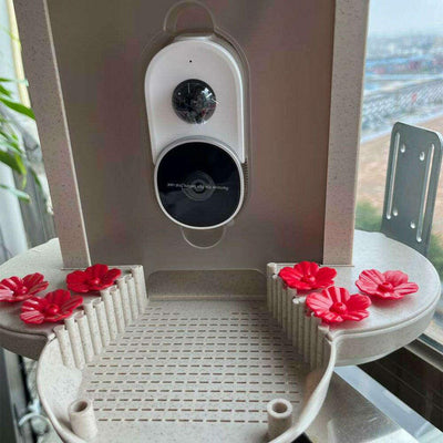 A PawPal Essentials AI Bird Feeder Smart 160° Wide Angle, perfect for capturing all the feathered visitors.