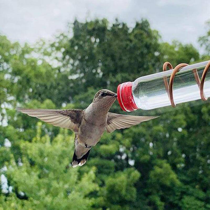Suction Cup Hummingbird Feeder™