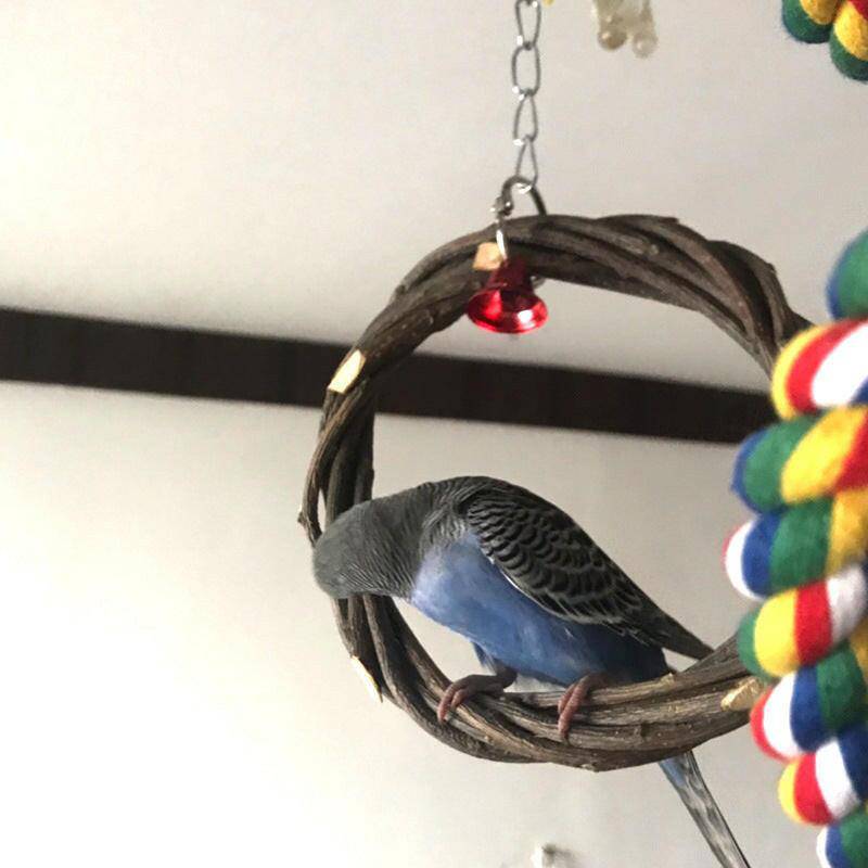 Rattan Ring Bird Cage Stand™