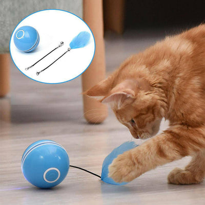 LED Laser Cat Ball for Fun Play™