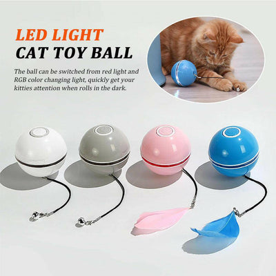 LED Laser Cat Ball for Fun Play™