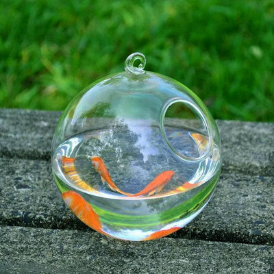 Glass Hanging Fish Tank®